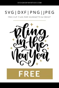 Bling in the new year vector clipart