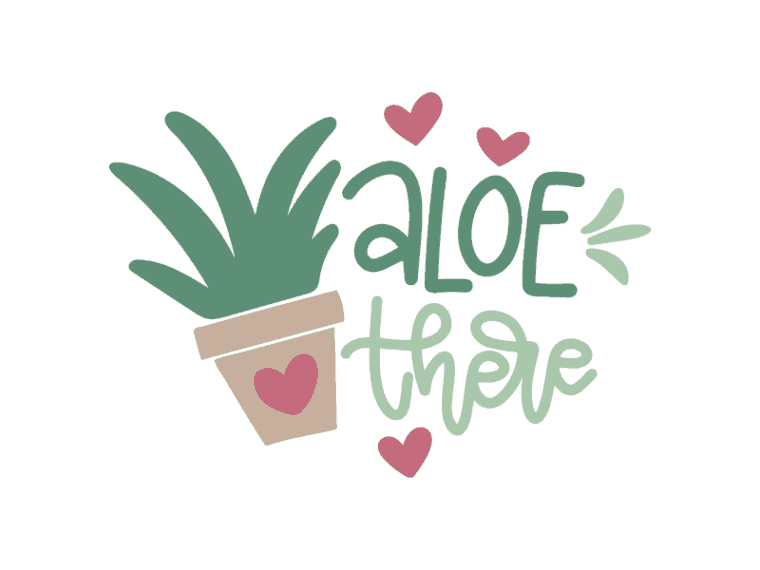 Aloe there vector art