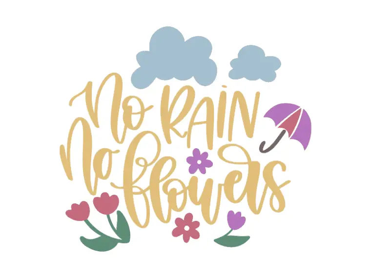 No rain no flowers vector file
