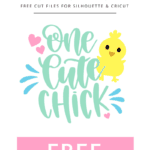 One cute chick vector clipart