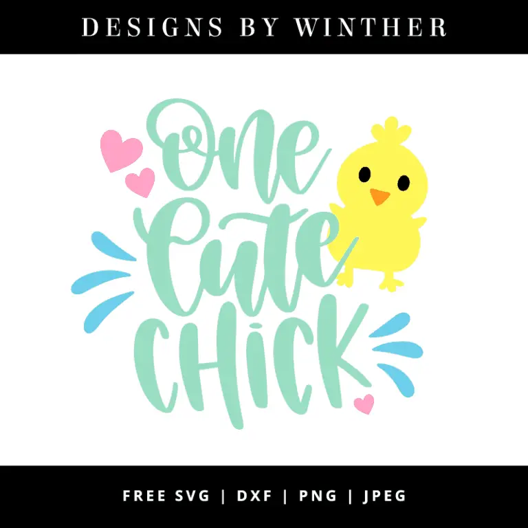 One cute chick vector art
