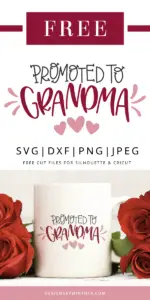Promoted to grandma vector file