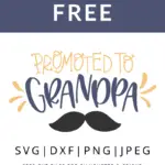 Promoted to grandpa vector clipart