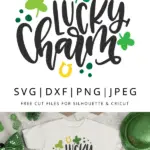 Lucky charm vector hand lettered