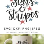 Stars and stripes hand lettered vector
