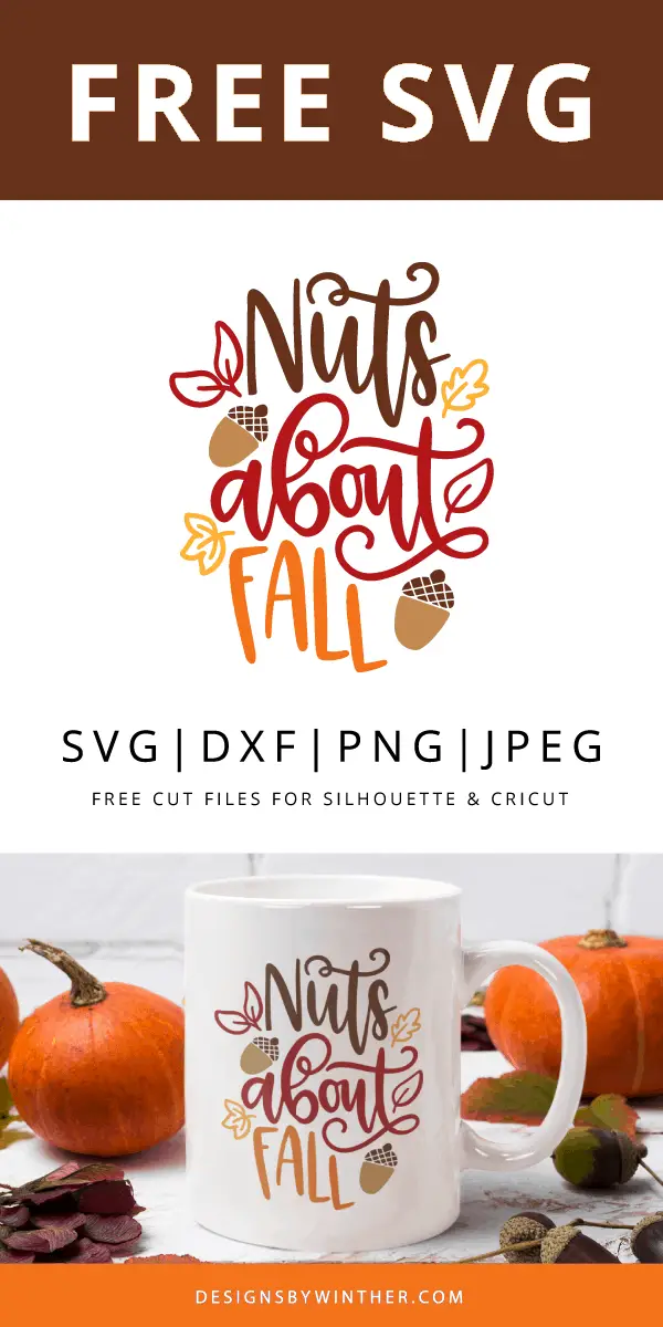 Download Free Nuts about Fall SVG - Designs By Winther